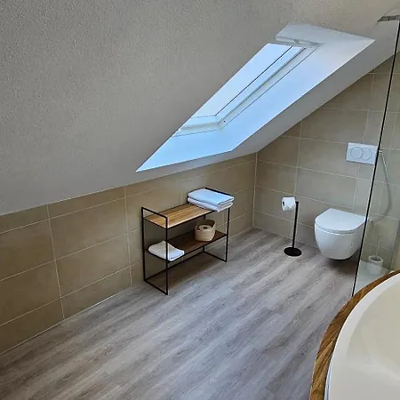 Elodia Luxus - Wlan, Smart Tv, Terrasse, Kueche, Handtuecher Holiday home Heidenheim an der Brenz